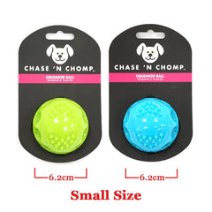 Caitec Squeaky Bouncing Dog Ball Durable Floatable Springy Toy