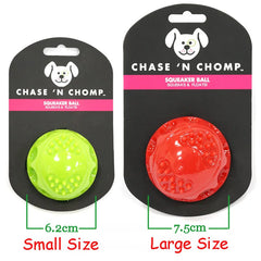Caitec Squeaky Bouncing Dog Ball Durable Floatable Springy Toy
