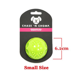 Caitec Squeaky Bouncing Dog Ball Durable Floatable Springy Toy