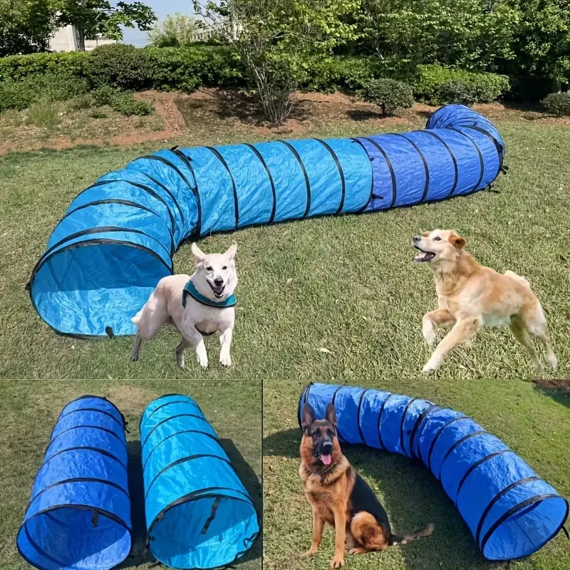 Dog Agility Folding Tunnel Crawl Training Outdoor Exercise Pet Equipment