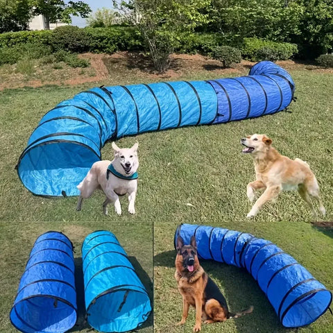 Dog Agility Folding Tunnel Crawl Training Outdoor Exercise Pet Equipment
