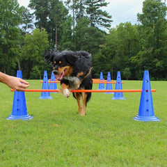 Dog Agility Training Obstacle Set Jump Bars Pet Exercise Kit