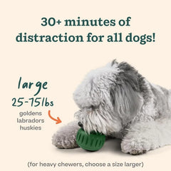 Interactive Silicone Dog Toy Treat Mold Frozen Enrichment Chew Resistant
