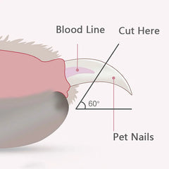 Professional LED Pet Nail Clippers for Dogs Cats Small Animals