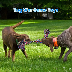 Durable Knot Dog Chew Toy Tug of War Interactive Medium Large