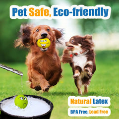 Rubber Squeaky Dog Ball Chew Fetch Puppy Interactive Play Toy