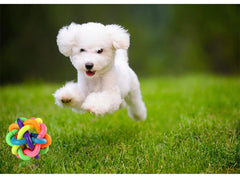 Colorful Bell Woven Rubber Dog Toy Chew Fetch Interactive Ball