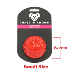 Caitec Squeaky Bouncing Dog Ball Durable Floatable Springy Toy