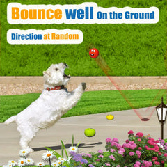 Rubber Squeaky Dog Ball Chew Fetch Puppy Interactive Play Toy