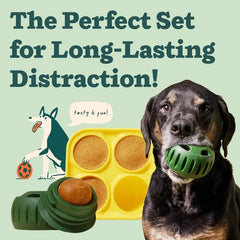 Interactive Silicone Dog Toy Treat Mold Frozen Enrichment Chew Resistant