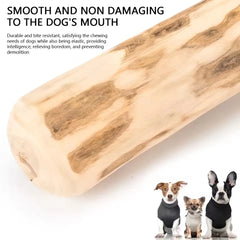 Natural Coffee Wood Dog Chew Stick Long Lasting Puppy Molar Toy