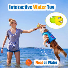 Rubber Squeaky Dog Ball Chew Fetch Puppy Interactive Play Toy