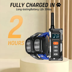 Remote Control Waterproof Dog Training Collar Shock Vibration 3300ft Range