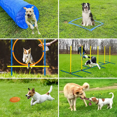 Dog Agility Training Obstacle Set Jump Bars Pet Exercise Kit