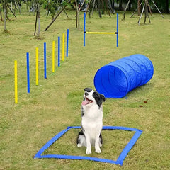 Dog Agility Folding Tunnel Crawl Training Outdoor Exercise Pet Equipment