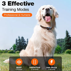 3300ft Rechargeable Waterproof Dog Training Collar Beep Vibration Shock Remote