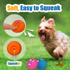 Rubber Squeaky Dog Ball Chew Fetch Puppy Interactive Play Toy