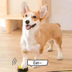 Dog Talking Buttons Voice Recording Training Buzzer Pet Communication Tool