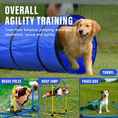 Dog Agility Folding Tunnel Crawl Training Outdoor Exercise Pet Equipment
