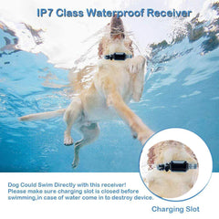 800m Remote Electric Dog Training Collar Shock Vibration Waterproof Device