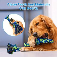Durable Knot Dog Chew Toy Tug of War Interactive Medium Large
